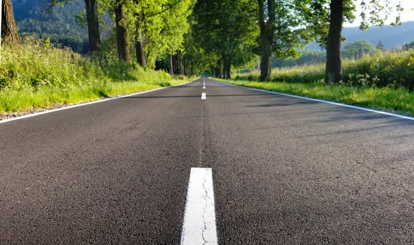 Strada asfaltata in mezzo alla campagna rustica — Foto Stock