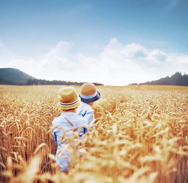 Dois irmãos entre campos de milho — Fotografia de Stock