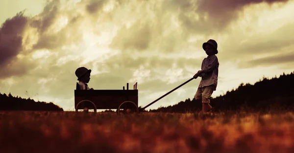 Two little brothers playing with the wooden carriage — Stock Photo, Image