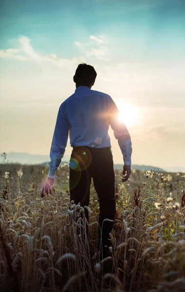 Calm businessman walking towards the sunset — Stock Photo, Image