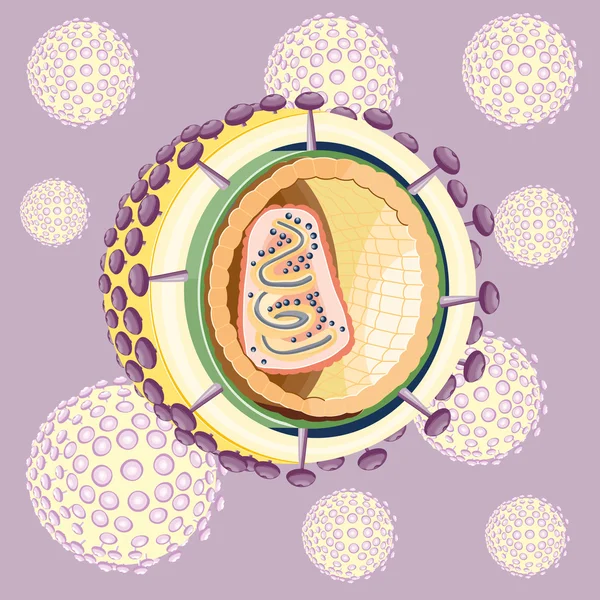 Struttura del virus dell'AIDS. Vettore — Vettoriale Stock