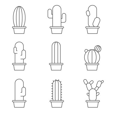 Kaktüs soyut koleksiyonunda vektör çizim