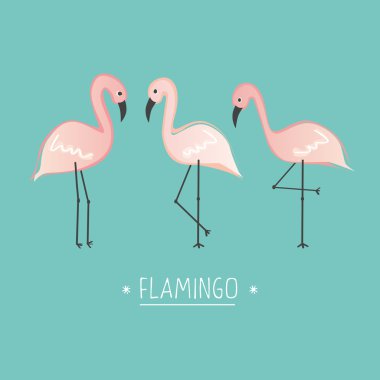 Vektör çizim pembe flamingo