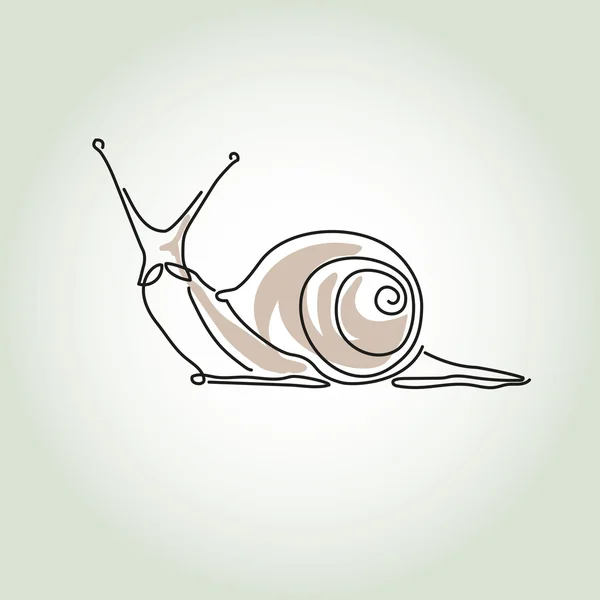 Snail in minimal line style vector — Stock Vector