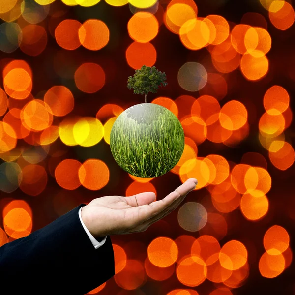 Concetto di tutela ambientale, Businessman condividere pianta verde da — Foto Stock