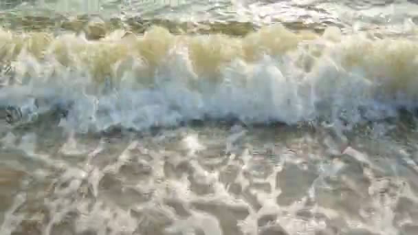 Zee surfen op strand (Handheld schot) — Stockvideo