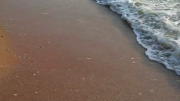 Zee surfen op strand (Handheld schot) — Stockvideo