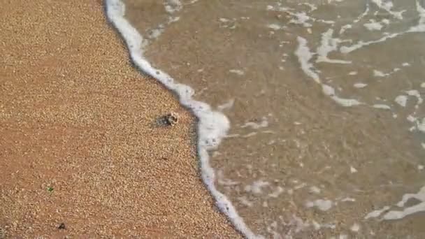 Close up of Sea surf at beach (Handheld shot) — Stock Video