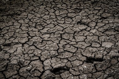 Kuru arazi arka plan