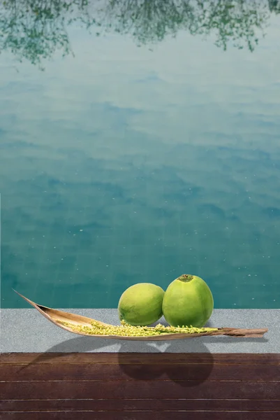 ココナッツとスイミング プールの背景を持つ肉穂花序 — ストック写真