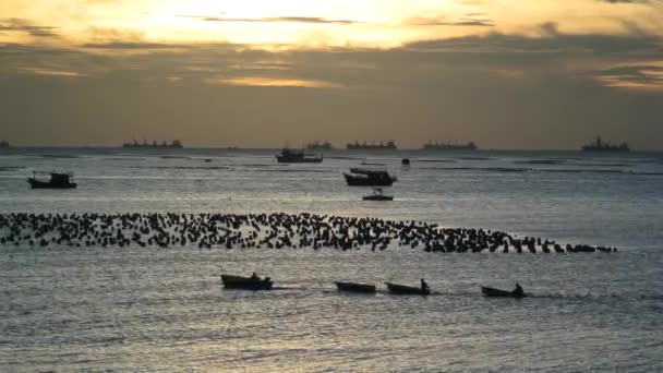 Silhouette della barca dei pescatori in mare con cielo al tramonto — Video Stock