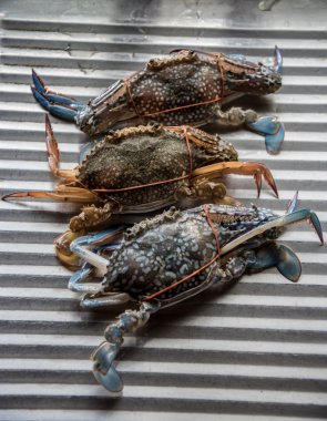 Yemek pişirmek için taze Yengeç