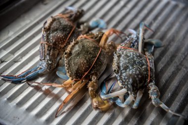 Yemek pişirmek için taze Yengeç