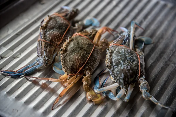 Yemek pişirmek için taze Yengeç