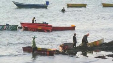 İşçi yeşil midye denizde seashell gruptan Kaldır 