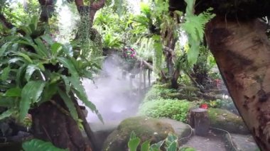 Su püskürten tropik bir bahçe.