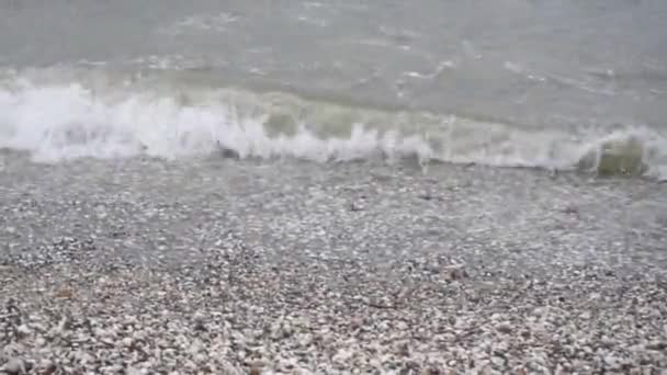 海滩上有泡沫的海浪 — 图库视频影像