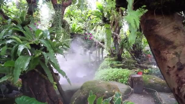 Tropikalny ogród ze sprayem do wody, Zdjęcia panoramiczne — Wideo stockowe