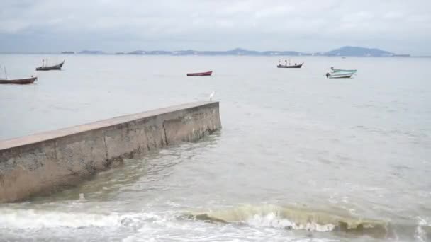 Oiseau aigrette sur un mur de béton en mer avec fond de bateau de pêche — Video
