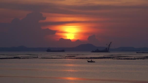 漁師は海の背景に夕日の空とネットを収集 — ストック動画