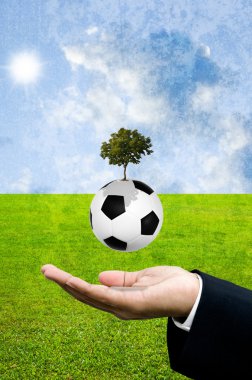 Futbol bilgi kavramı implant