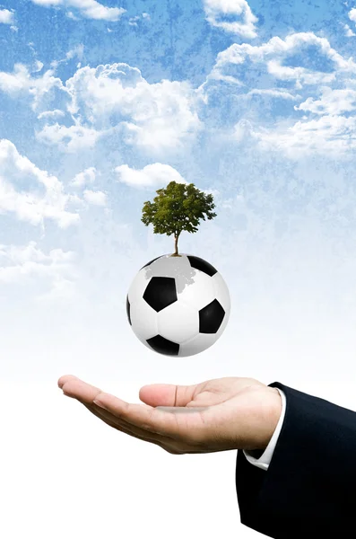 Implantar el concepto de conocimiento del fútbol — Foto de Stock
