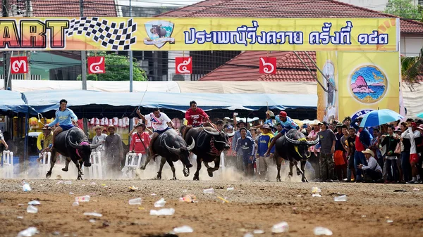 De onbekende mannen controleren hun buffalo voor het uitvoeren van in een race-sport, en de niet-geïdentificeerde dorpelingen vrolijken voor hen — Stockfoto