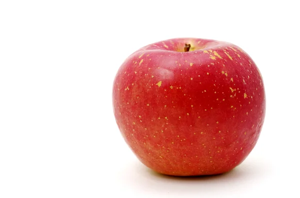 Manzana japonesa fresca aislada — Foto de Stock