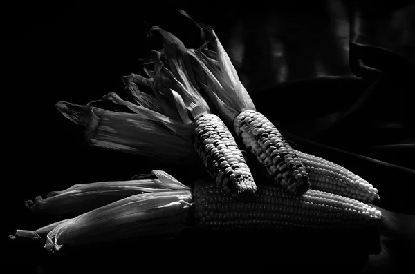 Хорошая кукуруза в черно-белом стиле — стоковое фото