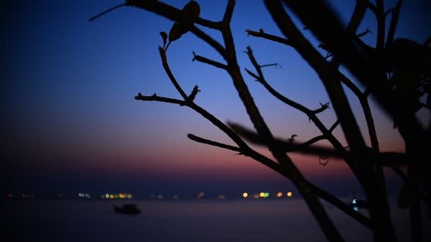 Twilight time with boat in sea, Sriracha, Chonburi, Thailand — Stock Video