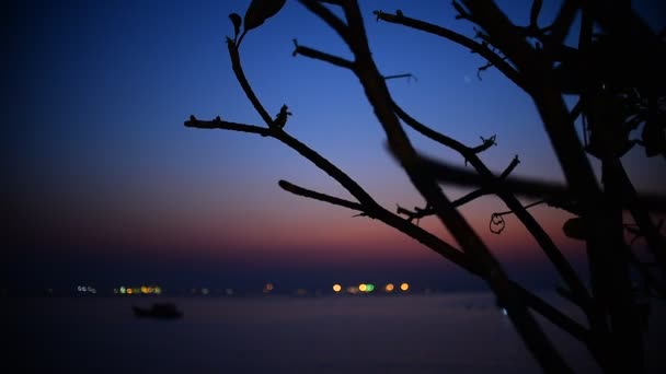 Twilight time with boat in sea, Sriracha, Chonburi, Thailand — Stock Video