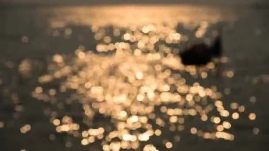 Bokeh günbatımı ışık yansıtacak tekne (bulanık odak arka plan ile)