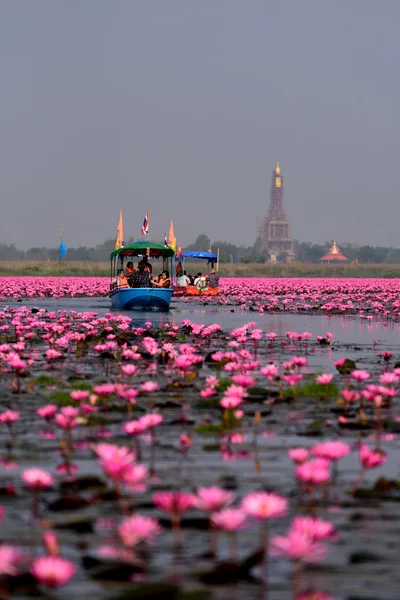 Udonthani, Thailand - 31 januari, toeristische boot reizen voor Zie pin — Stockfoto