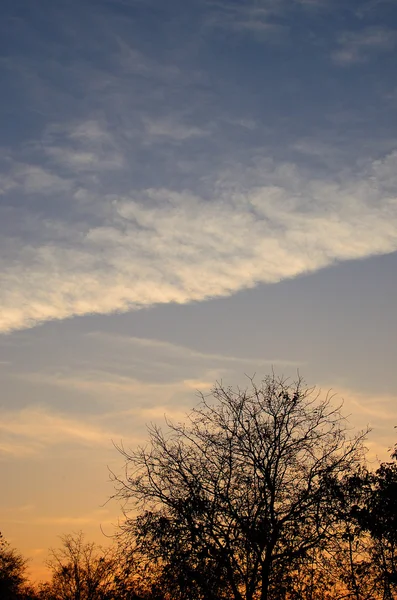 Onde nuage dans le ciel couchant — Photo