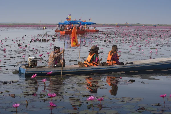 Voyage en bateau touristique pour voir lotus rose — Photo