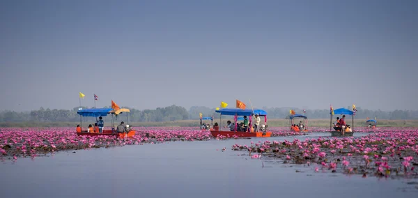 Voyage en bateau touristique pour voir lotus rose — Photo