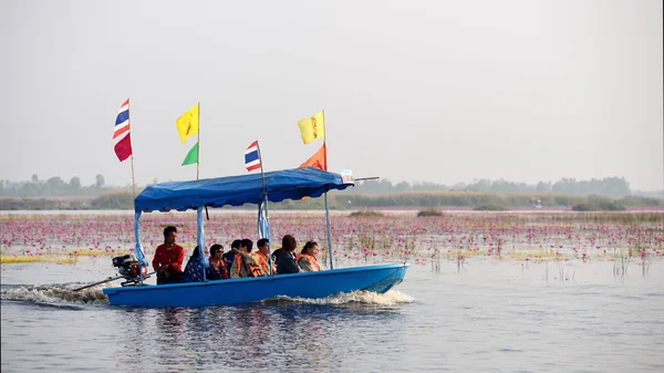 Toeristische boot reizen naar Zie roze lotus — Stockfoto