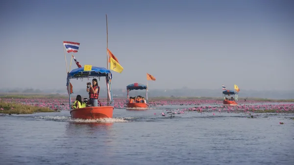 Toeristische boot reizen naar Zie roze lotus — Stockfoto