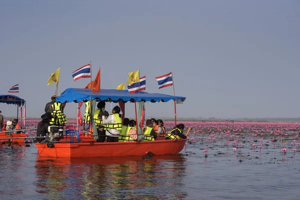 Toeristische boot reizen naar Zie roze lotus — Stockfoto