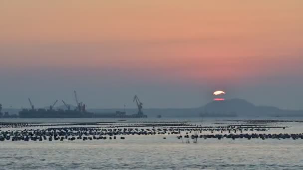 Tempo de pôr do sol no mar com fundo do porto de carga de transporte — Vídeo de Stock