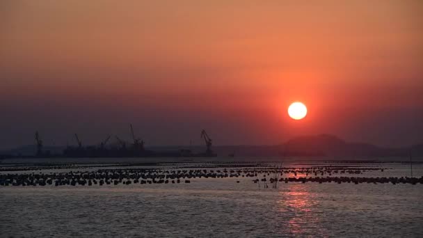 Zonsondergang op zee met verschepen van lading poort achtergrond — Stockvideo