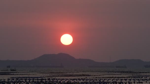 Tijdspanne van zonsondergang bij island (Si Chang), Chonburi, Thailand — Stockvideo