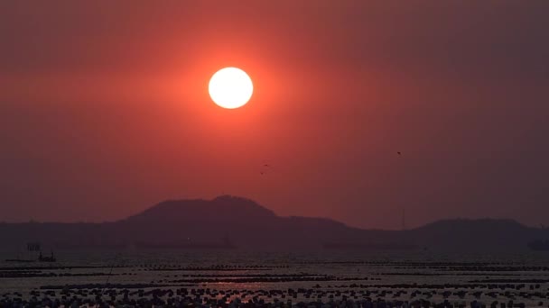 Pôr do sol na ilha (Si Chang), Chonburi, Tailândia — Vídeo de Stock