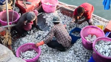 Balıkçı İskelesi, teknede balık Sriracha, Chonburi, Tayland sıralama