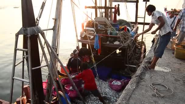 SRIRACHA, TAILÂNDIA - 3 de abril: Pescador puxa cesta de peixe em 3 de abril de 2015 em Sriracha, Chonburi, Tailândia — Vídeo de Stock