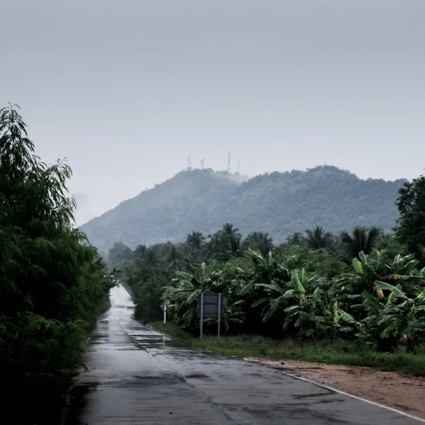 Estrada molhada com céu chuvoso — Fotografia de Stock