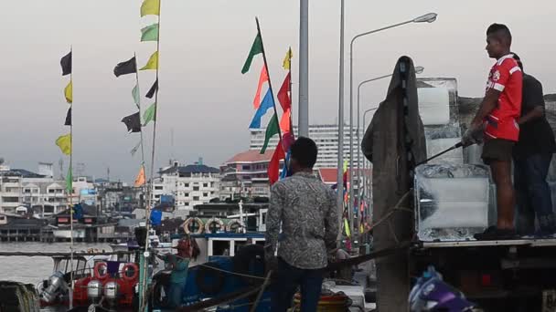 Werknemer voorbereiding van het ijs in vissersboot op steiger — Stockvideo