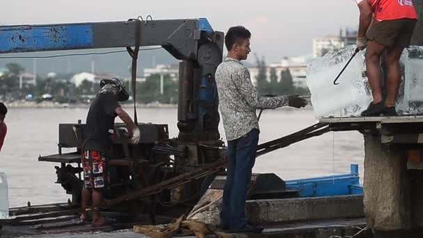 Travailleur préparant la glace dans un bateau de pêche à la jetée — Video