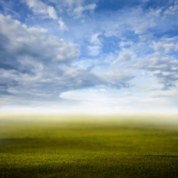 Ciel du matin au champ vert, fond déconcentré — Photo