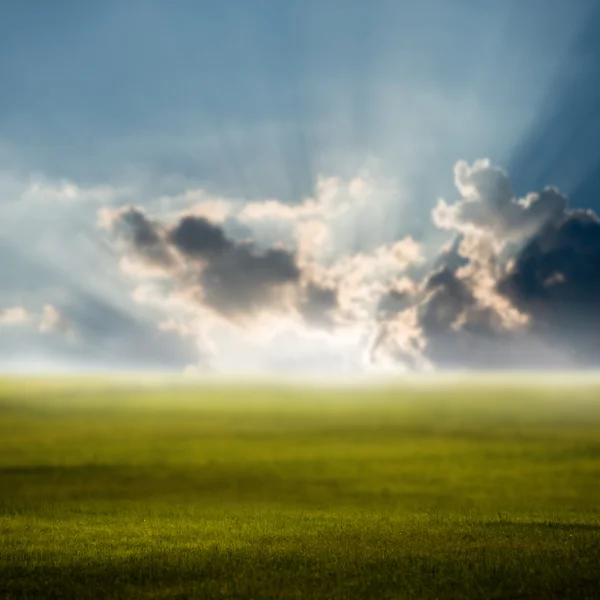 Céu da manhã no campo verde, fundo desfocado — Fotografia de Stock